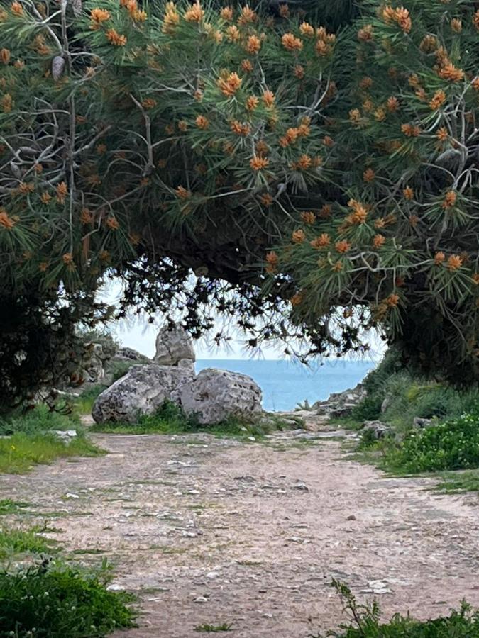 Colibri B&B Sciacca Zewnętrze zdjęcie